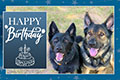 Happy Birthday - 2024 eCard