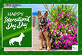 International Dog Day (August) - 2024 eCard