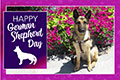 German Shepherd Day (May) - 2024 eCard