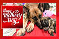Happy Mother's Day - 2024 eCard