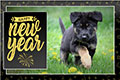 Happy New Year - 2024 eCard