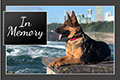 Rainbow Bridge Memorial - 2024 eCard