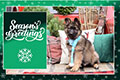 Season's Greetings - 2024 eCard
