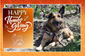 Happy Thanksgiving - 2024 eCard